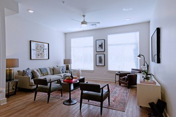 the rise living area