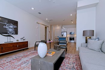 the rise living area