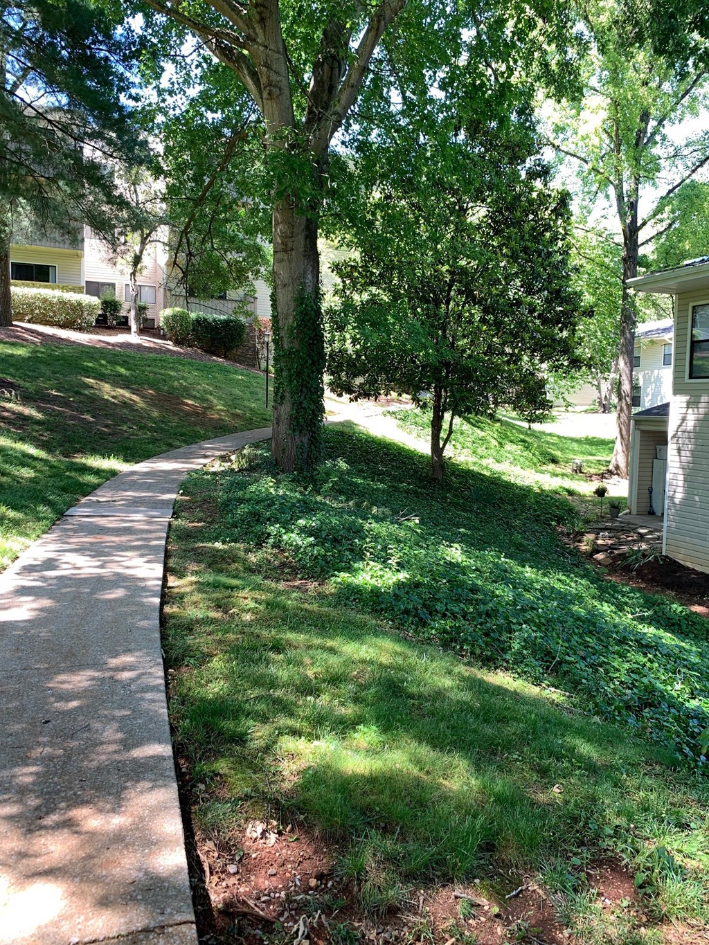 mountain view walking trail