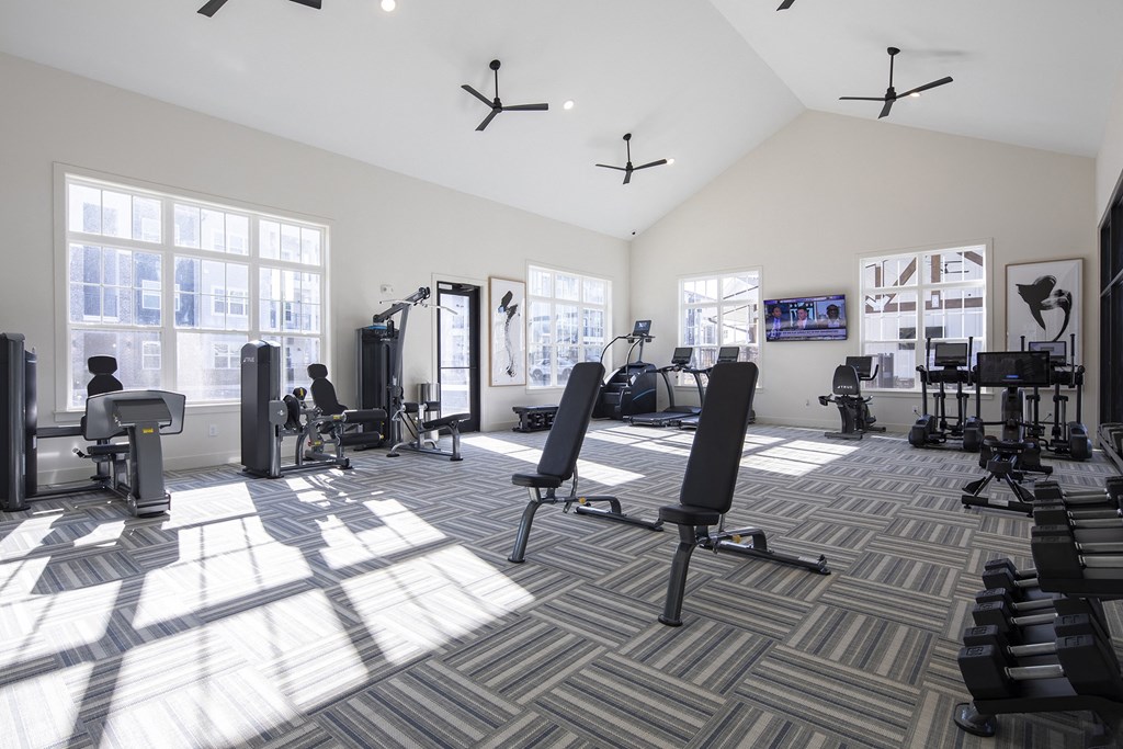 a spacious fitness room with weights and cardio machines and windows