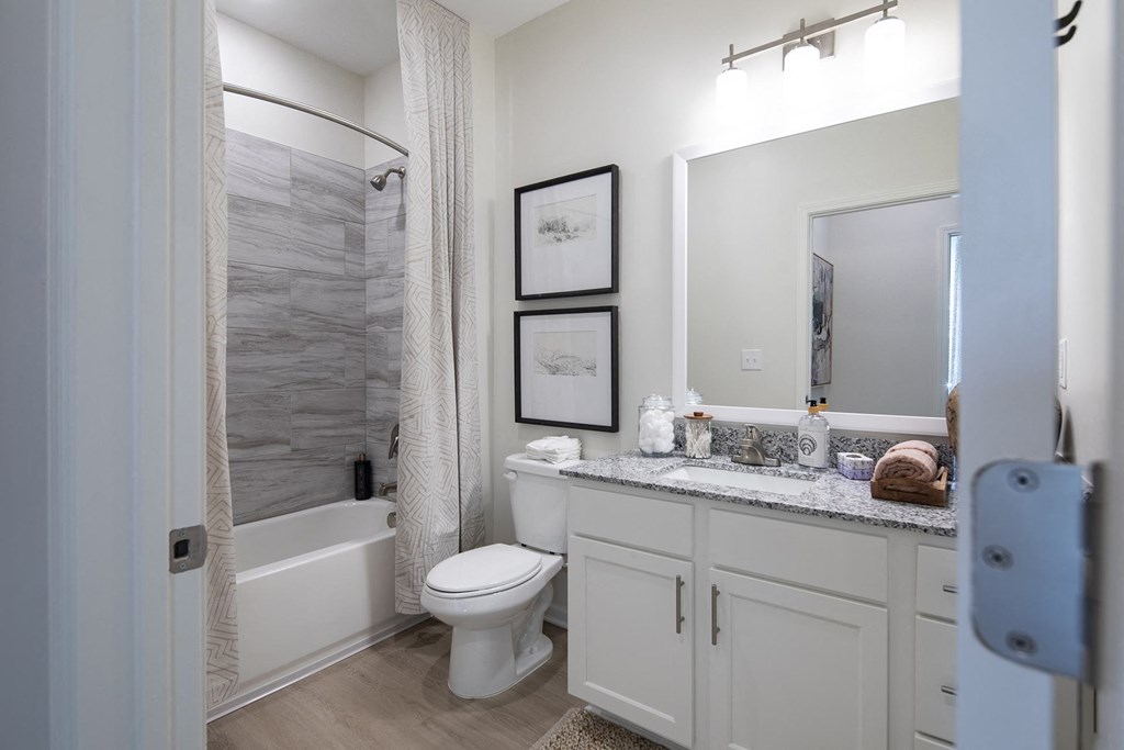 a bathroom with a shower toilet and sink and a mirror