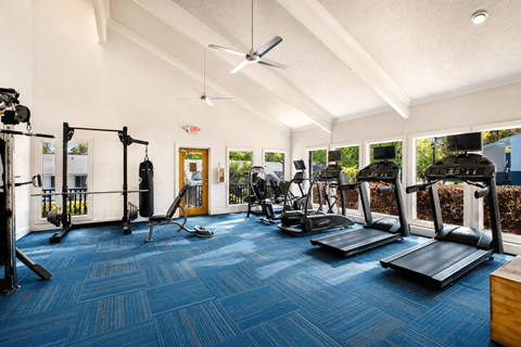 A gym with a variety of equipment including treadmills, weights, and a fan.