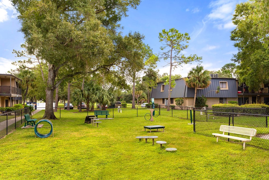 our apartments showcase a dog park with plenty of space for your dog to run around at Waterview at Rocky Point, Tampa, FL