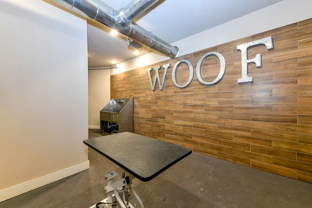 Decatur, GA, Luxury Apartments - Arlo Decatur - Pet Spa With Stainless Steel Bathing Station, Grooming Table, and Exposed Ceilings