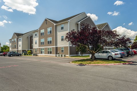 Four-Bedroom Student Apartments In Harrisonburg, VA - The Mill - An On-Site Parking Lot With Several Parked Cars, a Paved Roadway, Well-Maintained Green Lawns, and Landscaped Trees.