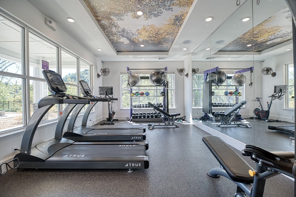 A gym with treadmills, exercise bikes, and weights.