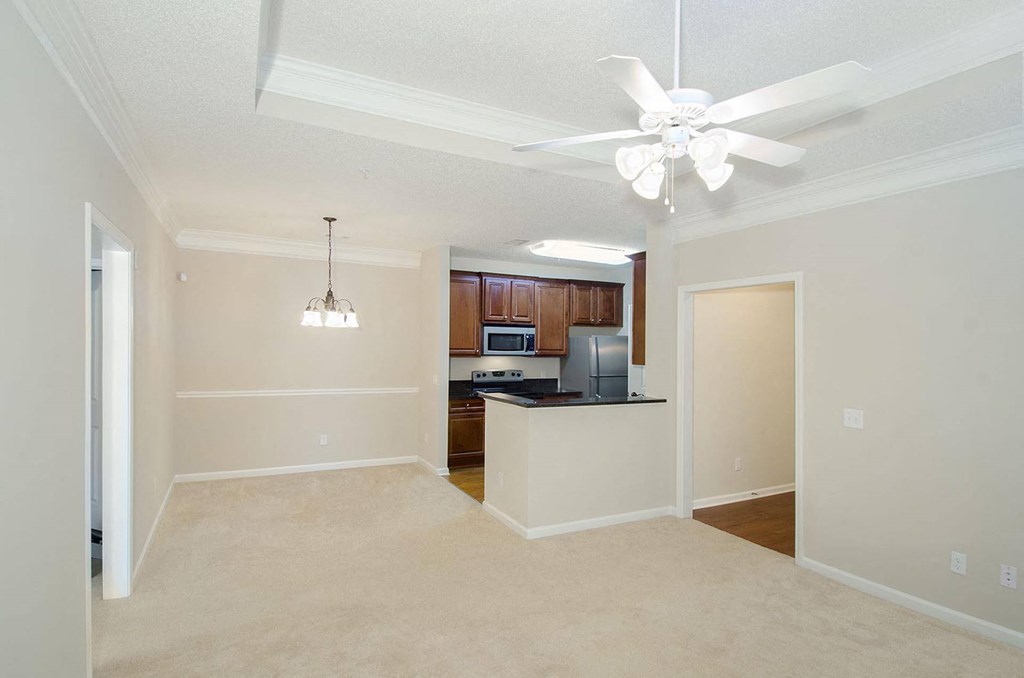 kitchen and living room