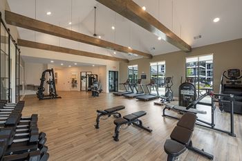 a gym with cardio equipment and weights on a wood floor