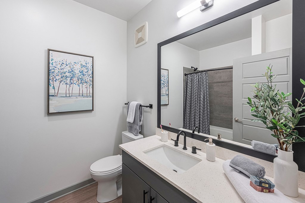 a bathroom with a mirror and a toilet and a sink