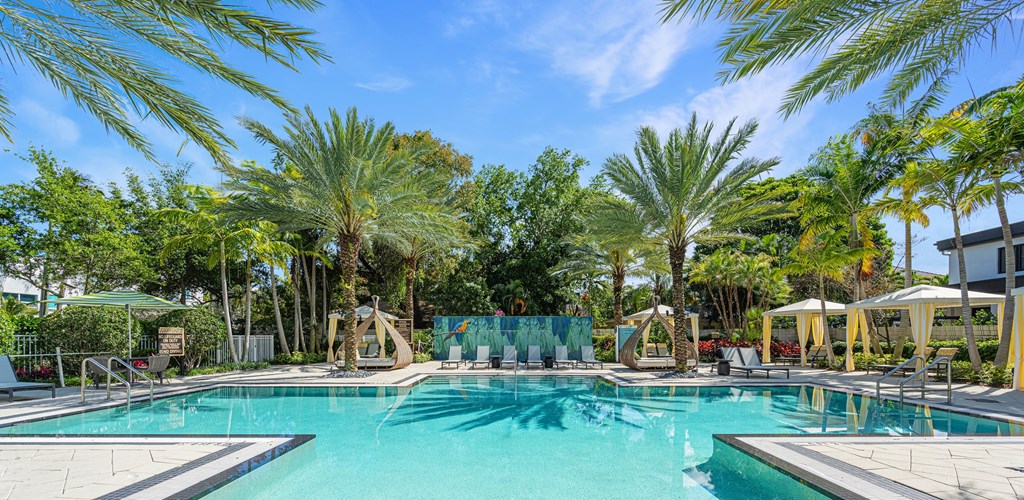 a swimming pool with palm trees and umbrellas around it