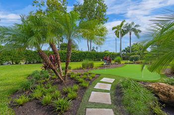 a garden with palm trees and a pathway