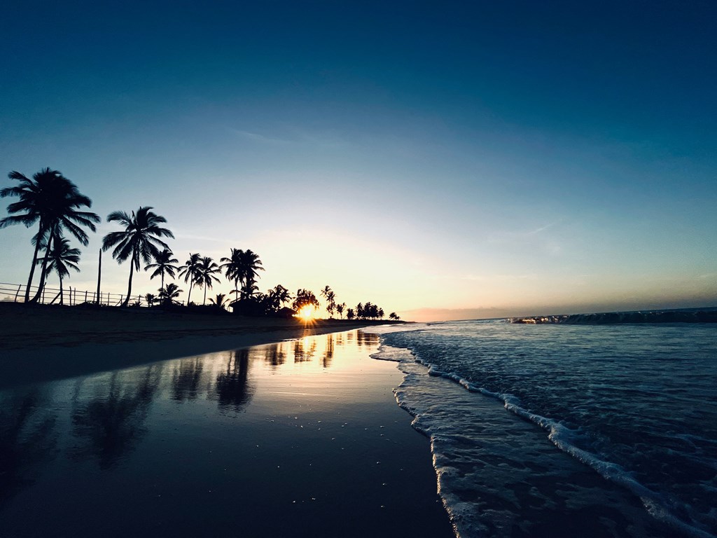 a beach at sunset with palm trees and the ocean