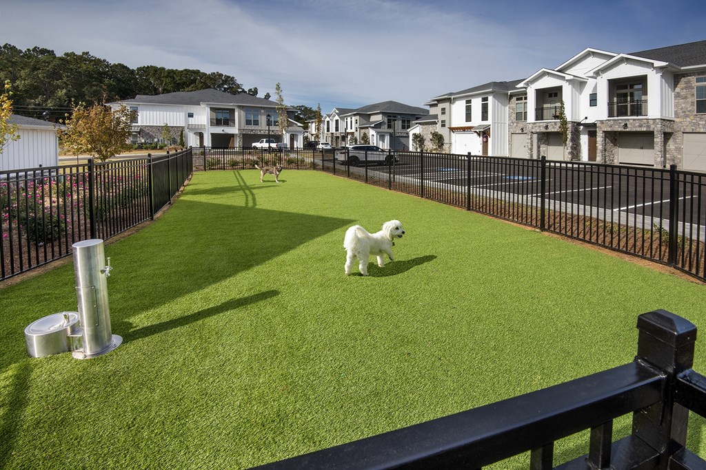 a dog walking on the grass in a fenced in area