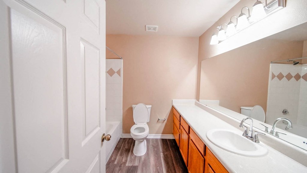 a bathroom with a toilet and a sink and a mirror