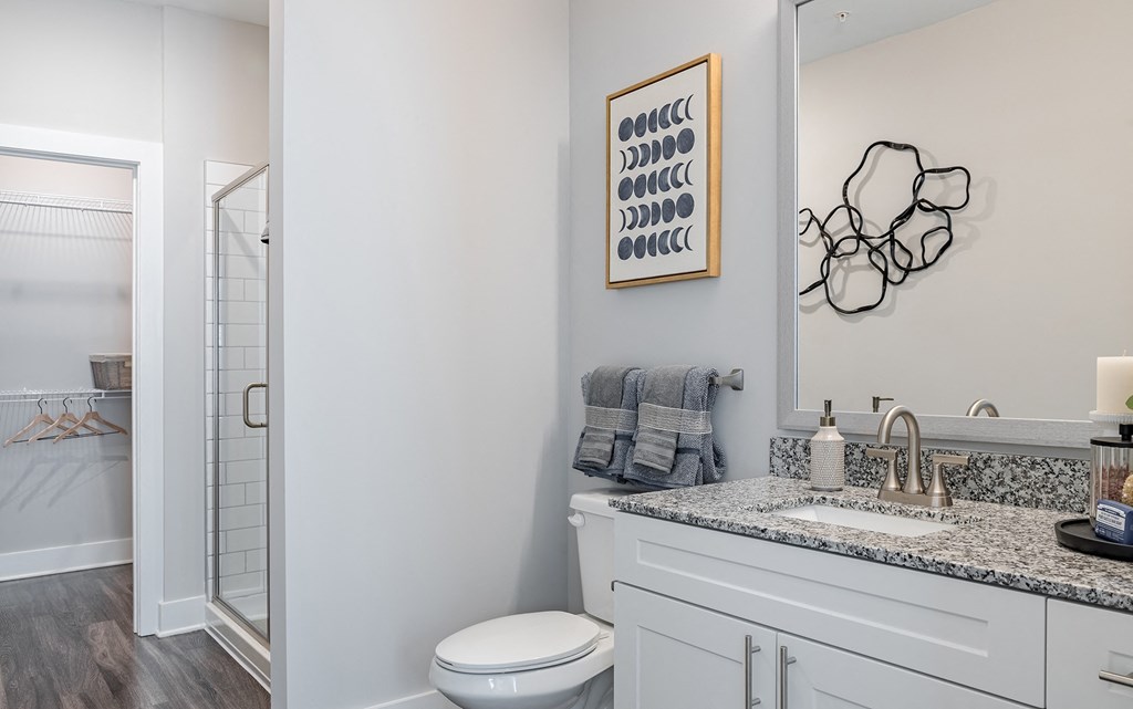 a bathroom with a sink and a toilet and a shower