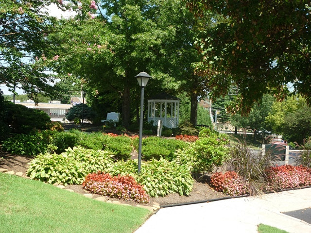 Mountain View garden.