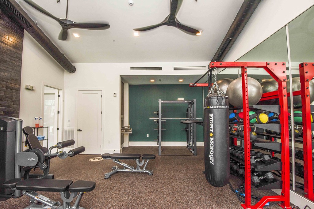 A gym with a variety of equipment including weights and a bench.