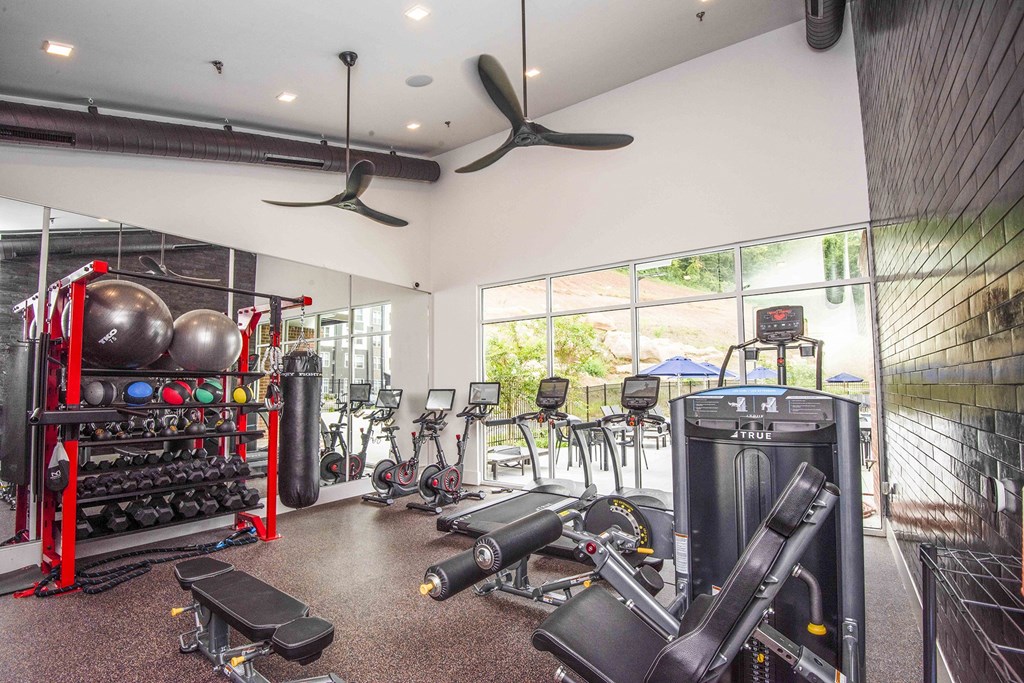 A gym with a variety of equipment including a treadmill, weights, and a bench press.
