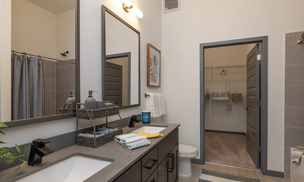 a bathroom with a sink and a mirror and a shower