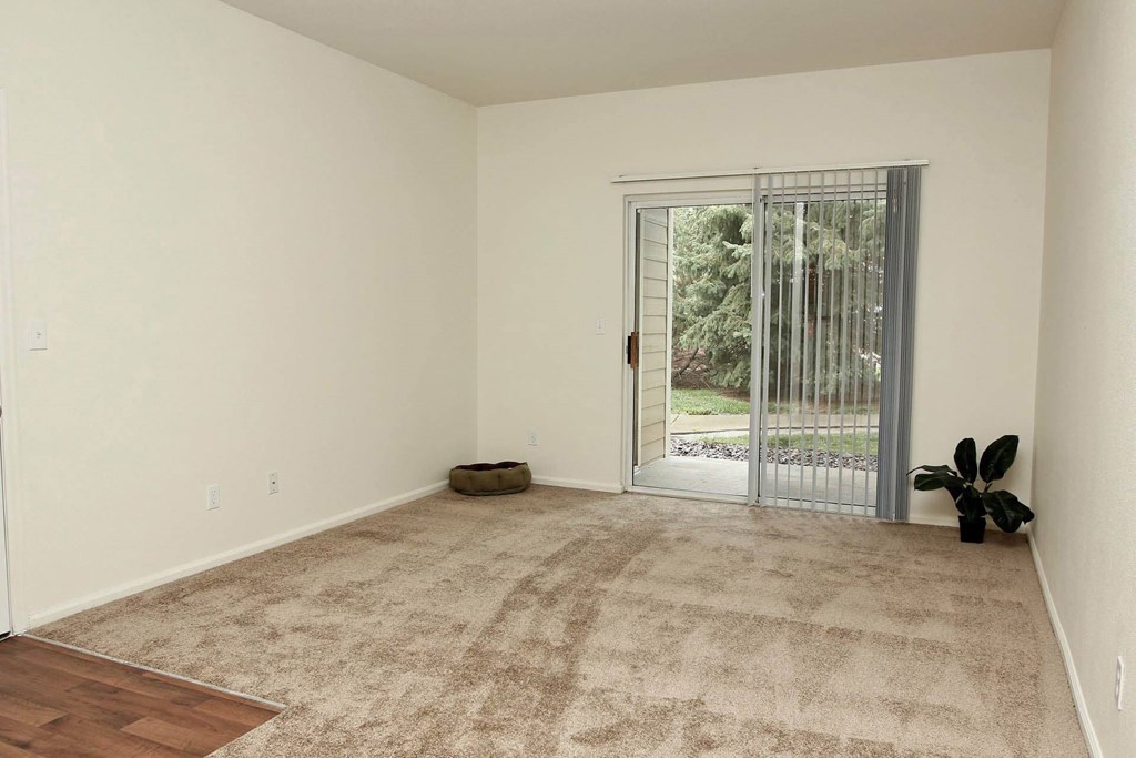 A room with a carpeted floor and a sliding glass door leading to a backyard.