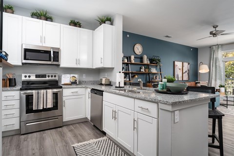 901 Baneberry Lane 1 Bed Apartment for Rent
