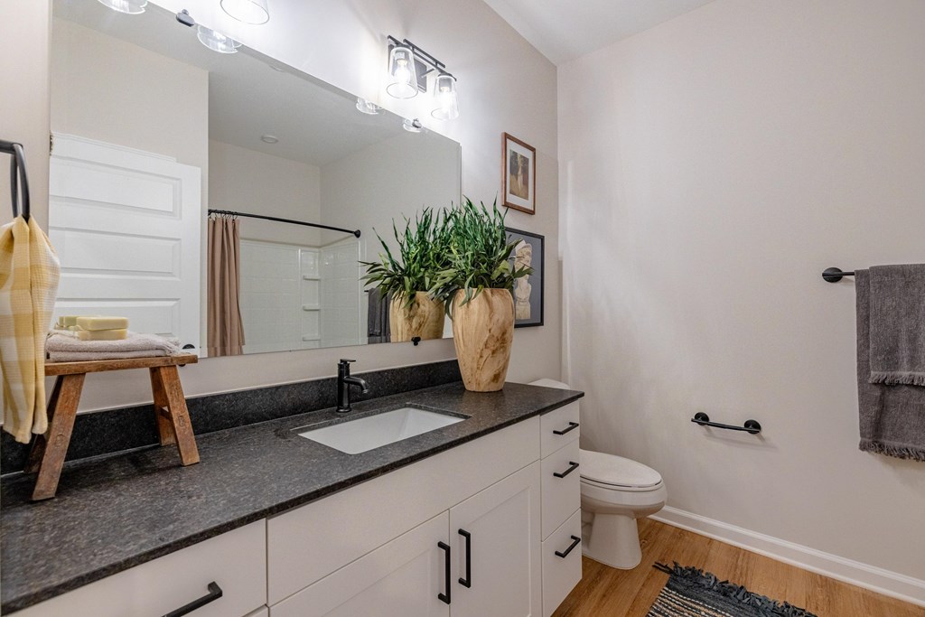A bathroom with a white toilet, a sink, and a mirror.