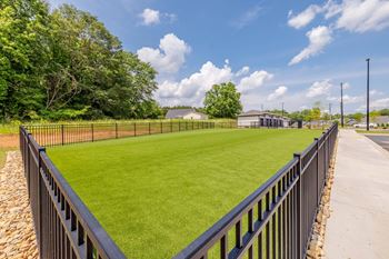 A black fence surrounds a green field.