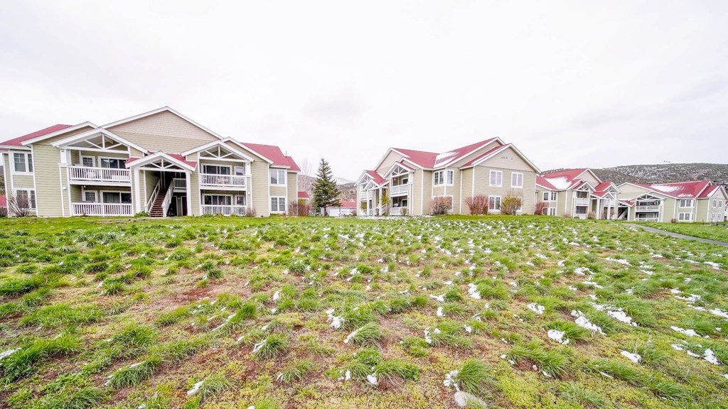 a row of houses with carpets in the grass