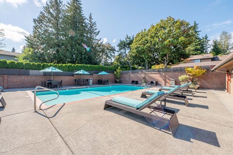 Pet-Friendly Apartments in North Bellevue, WA - The Regent at Bellevue Way - An Outdoor Swimming Pool, Featuring Multiple Sun Loungers, Seating with Umbrellas, and Trees.
