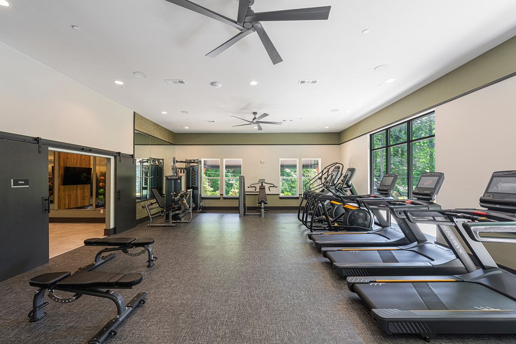 the gym has treadmills and other cardio equipment
