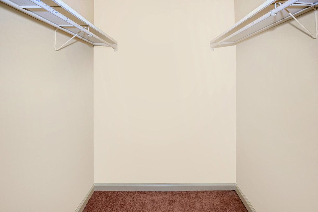 The Hermitage Closet