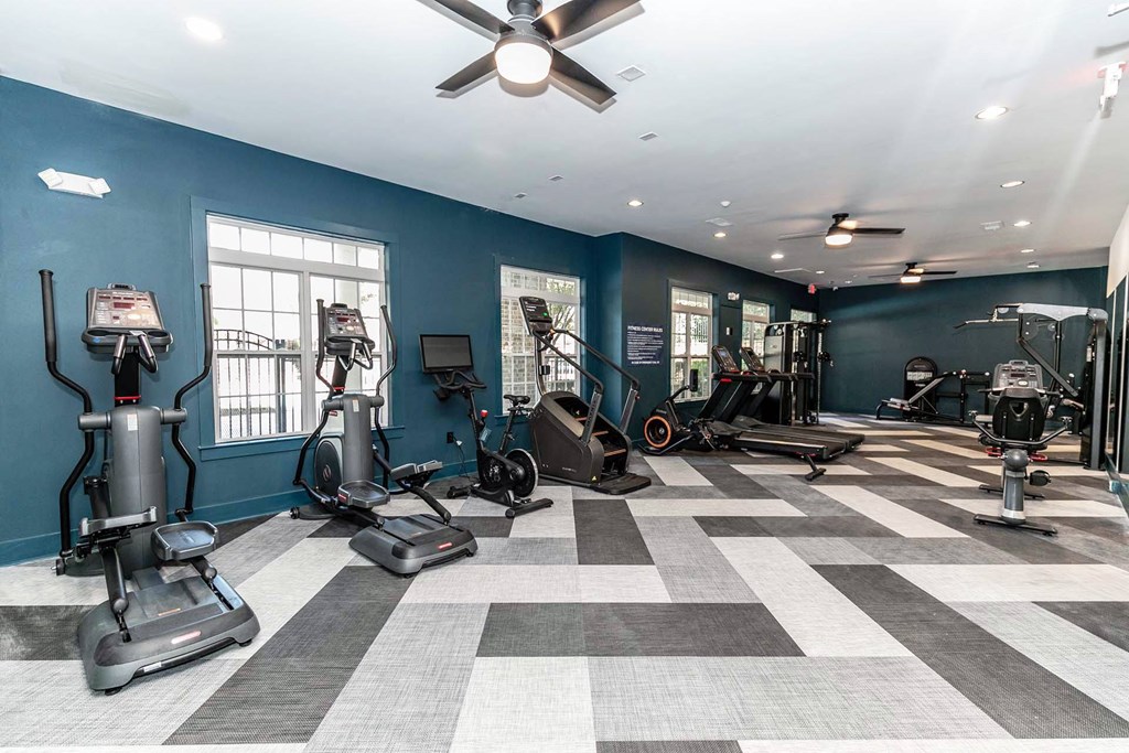 the gym in the owner s suite is equipped with cardio equipment and weights