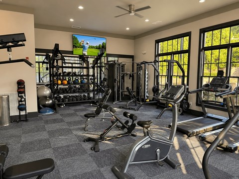 A spacious gym with a variety of equipment including treadmills, weights, and a television.