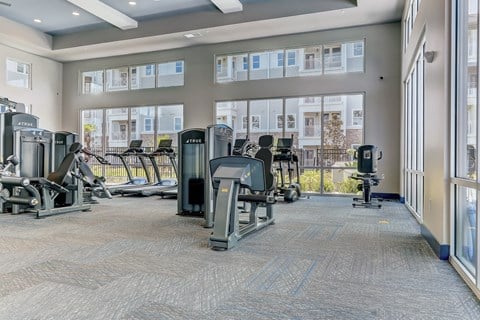 A gym with a variety of equipment including treadmills, stationary bikes, and weight machines.
