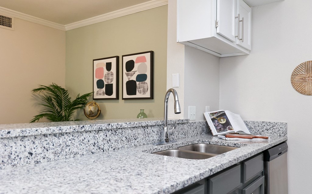 a kitchen with a sink and a counter top