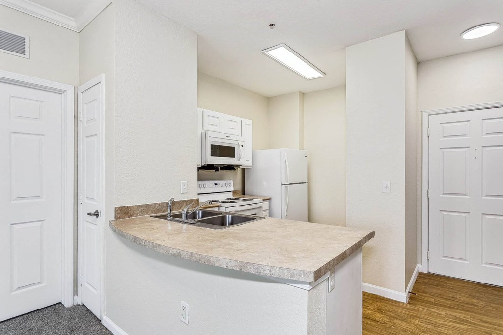 a kitchen with a counter top and a sink