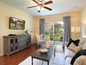 TV, coffee table, couch, and chair in a living room TV, coffee table, couch, and chair in a living room at Legacy, Tampa, FL - Photo Gallery 2