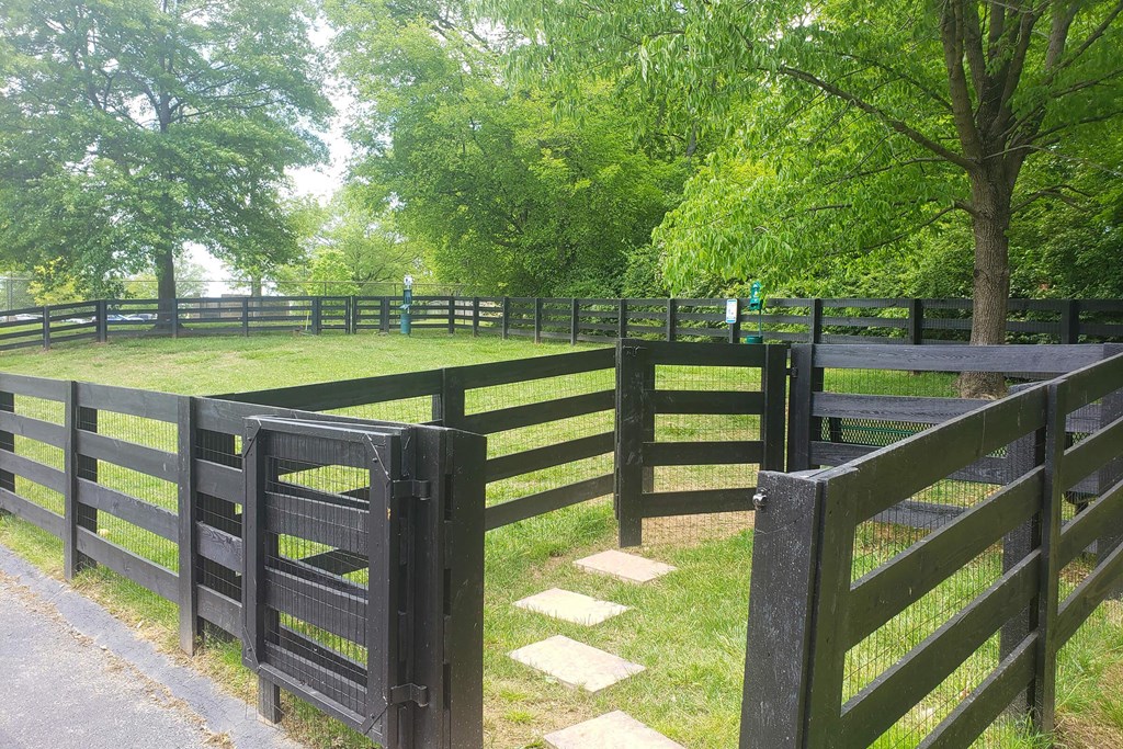 Dupont Avenue Dog Park