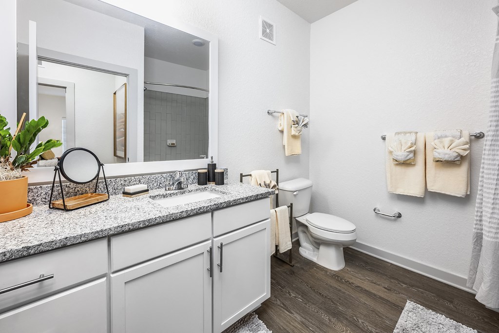 a bathroom with a toilet and a sink and a mirror