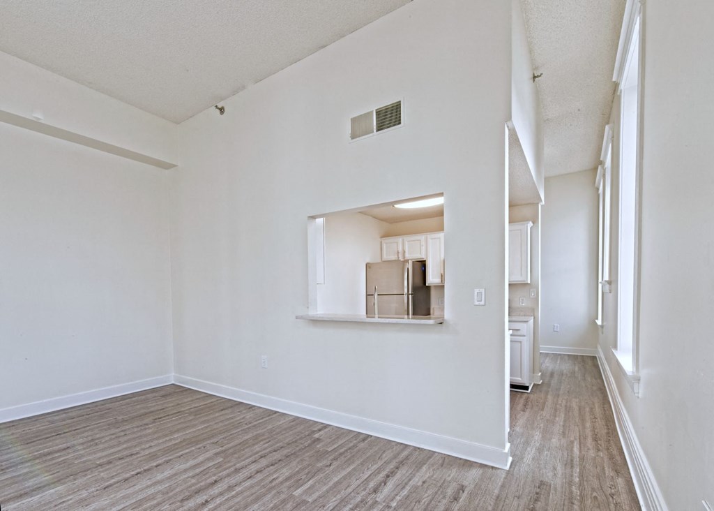 GAYOSO HOUSE LIVING ROOM AND KTICHEN