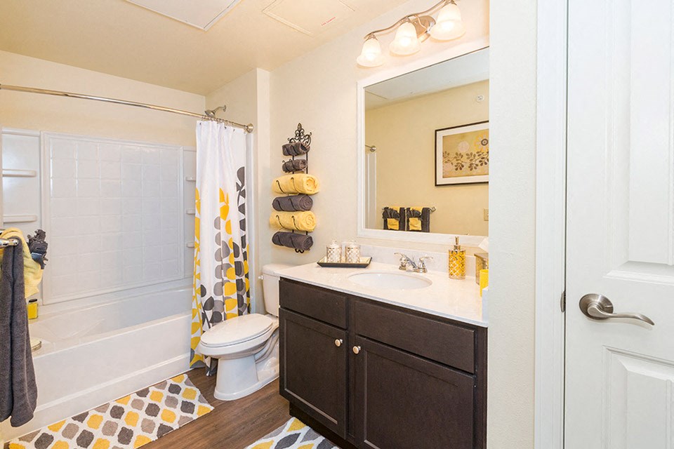 a bathroom with a shower toilet and sink and a mirror