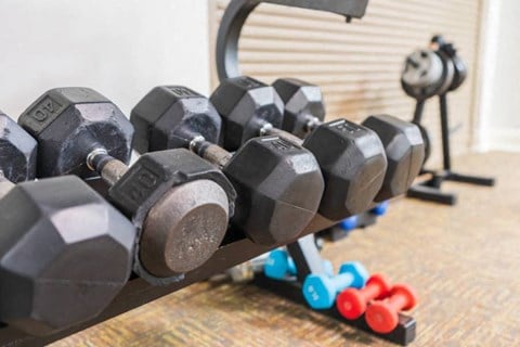 a row of dumbbells on a rack in a gym