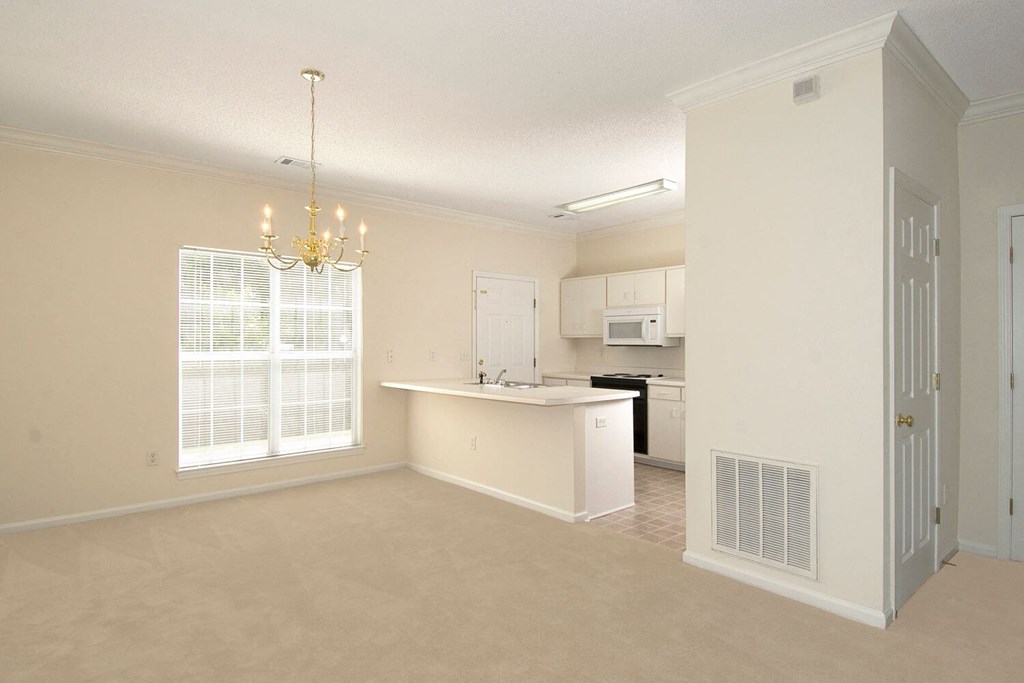 kitchen and living room