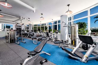 an image of a gym with cardio equipment and a large window with a view of the city at Regatta at New River, Florida, 33301
