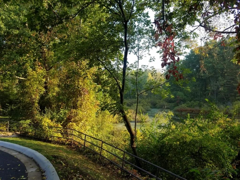 Woods at Winchell Way Apartment , Kalamazoo