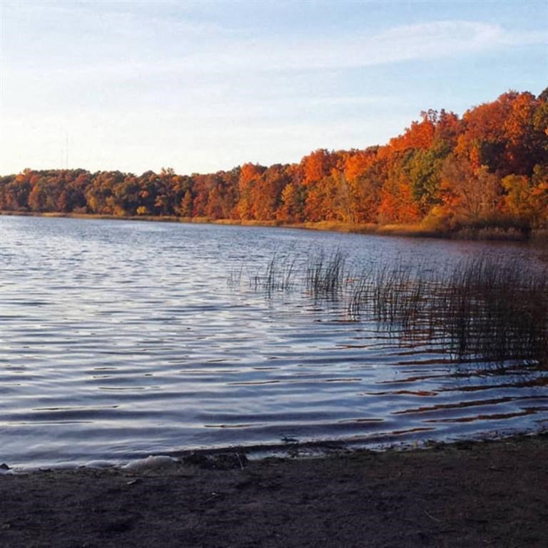 Lake at Winchell Way Apartment , Kalamazoo, 49008