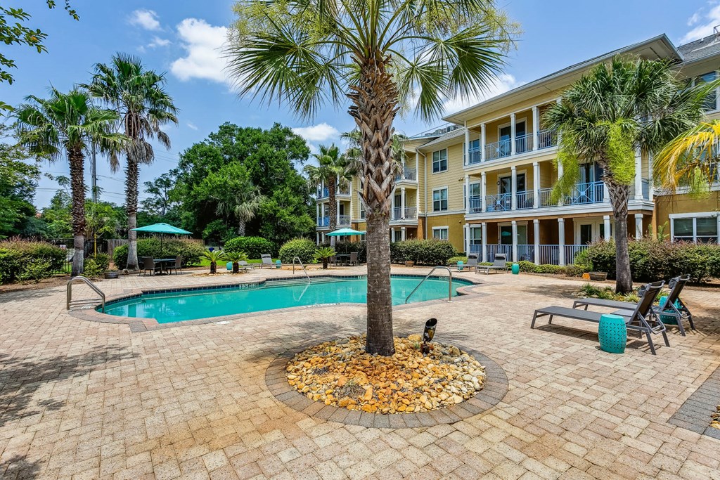 a swimming pool with a palm tree in the middle of a resort style pool