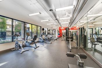 Fitness Center with Cardio Gym
