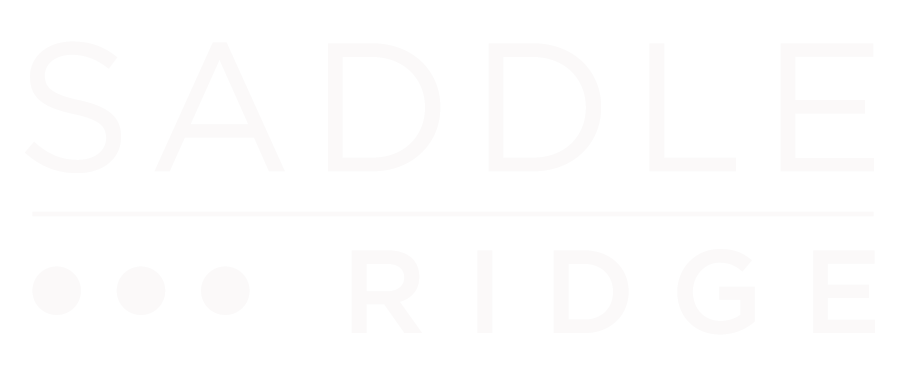 A white background with the words saddle ridge on it.