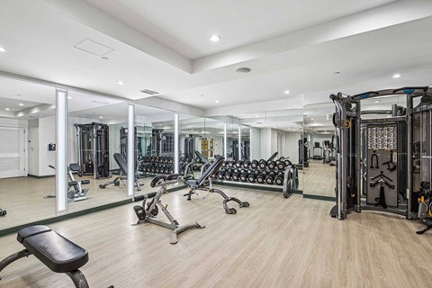 A spacious gym with a variety of equipment including treadmills, weights, and exercise machines.